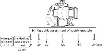 Gastric Emptying Is Not Delayed and Does Not Correlate With Attenuated Postprandial Blood Flow Increase in Medicated Patients With Early Parkinson's Disease